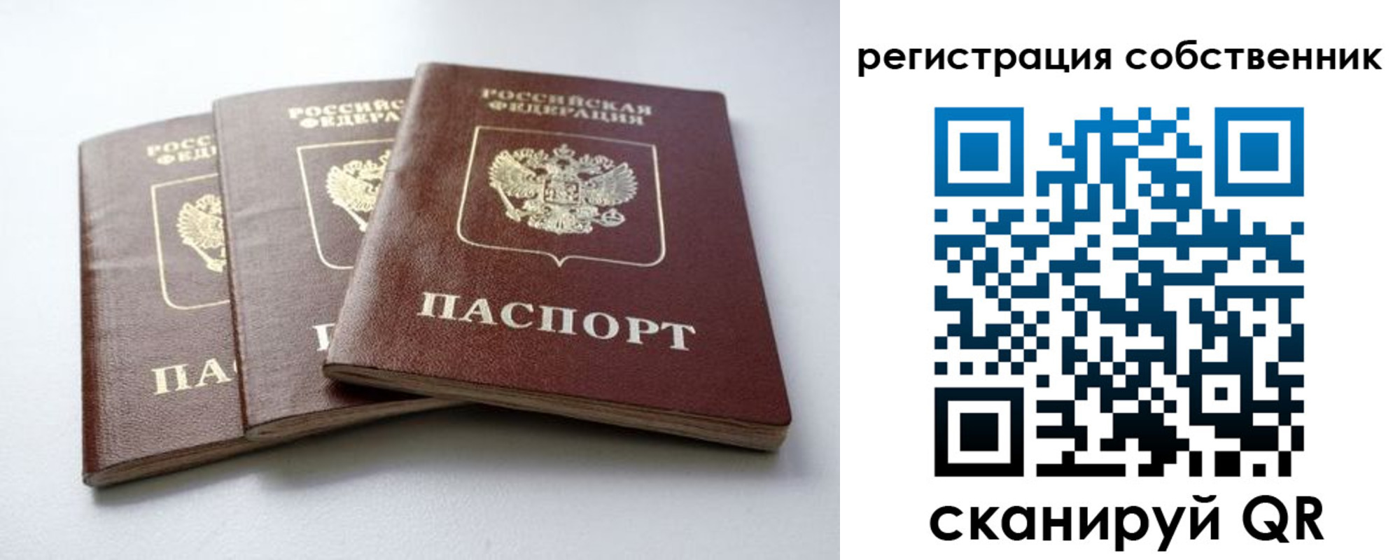 прописка для школы в Ульяновской области
